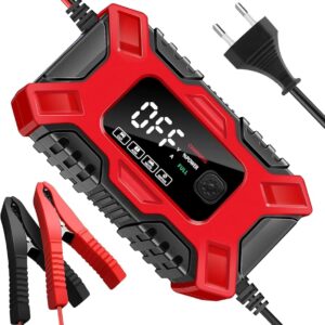 Cargador inteligente para auto y motos